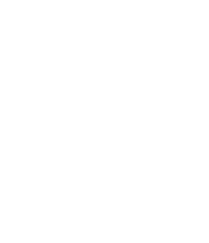 IKA outlines white noborder